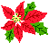 christmas flower