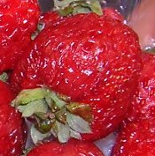 fresh strasberry