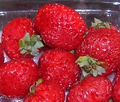 fresh strasberries