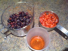 ingredients for red boozy sorbet