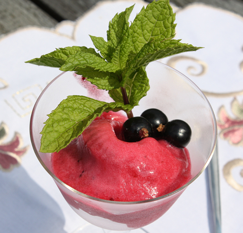 sorbet made with fresh blackcurrants and lime juice